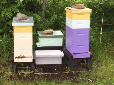 hives